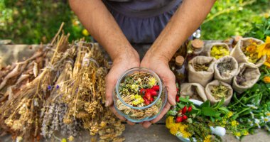 Alternatif şifalı bitkiler, yaşlı kadın. Seçici odaklanma. Doğa.