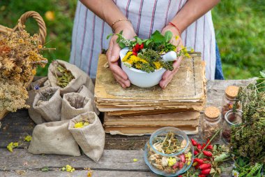 Şifalı bitkiler kadın alternatif tıp. Seçici odaklanma. Doğa.