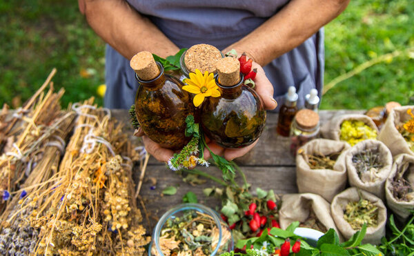 Medicinal herbs alternative medicine old woman. Selective focus. Nature.