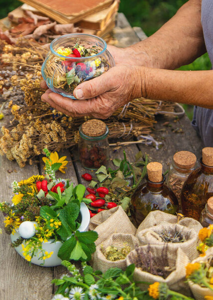 Medicinal herbs alternative medicine old woman. Selective focus. Nature.