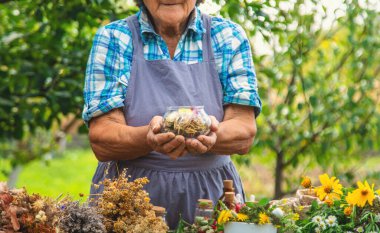 Alternatif şifalı bitkiler, yaşlı kadın. Seçici odaklanma. Doğa.