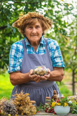 Alternatif şifalı bitkiler, yaşlı kadın. Seçici odaklanma. Doğa.