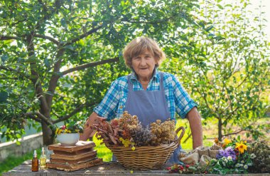 Alternatif şifalı bitkiler, yaşlı kadın. Seçici odaklanma. Doğa.