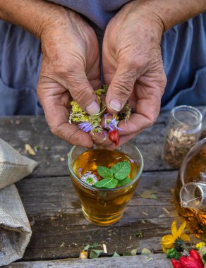 Şifalı bitkiler ve çay içen yaşlı kadın. Seçici odaklanma. Doğa.