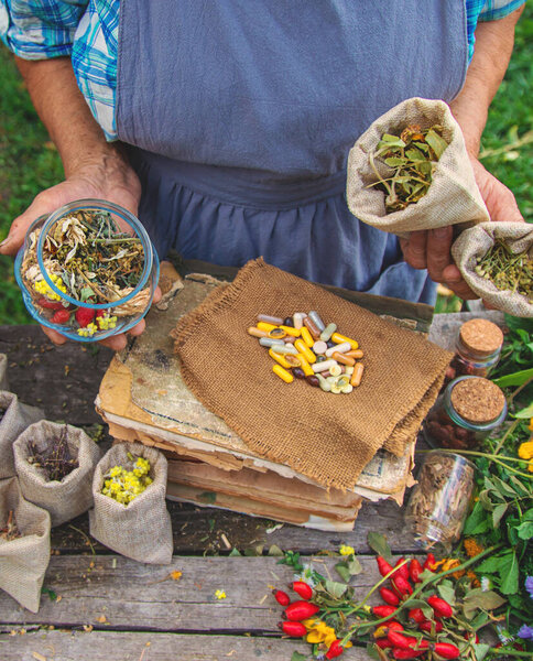 Medicinal herbs alternative medicine old woman. Selective focus. Nature.