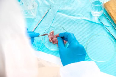 Farklı gıda ürünlerinin laboratuvar testleri. Seçici odaklanma. insanlar.