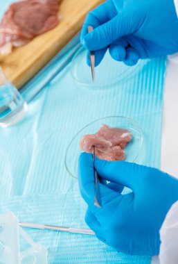 Farklı gıda ürünlerinin laboratuvar testleri. Seçici odaklanma. insanlar.