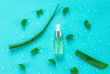 Aloe vera kapsülleri ve özüt damlaları. Seçici odaklanma. Doğa.