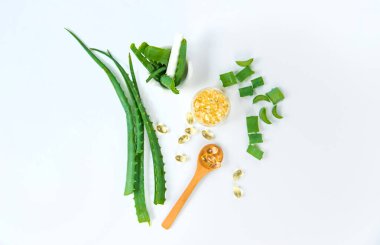 Aloe vera kapsülleri ve özüt damlaları. Seçici odaklanma. Doğa.