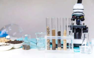 Laboratuvarda toprak testi. Seçici odaklanma. Doğa.