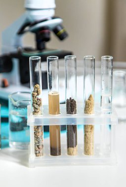 Laboratuvarda toprak testi. Seçici odaklanma. Doğa.