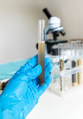 Laboratuvarda toprak testi. Seçici odaklanma. Doğa.