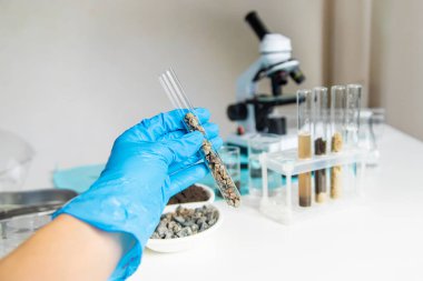 Laboratuvarda toprak testi. Seçici odaklanma. Doğa.