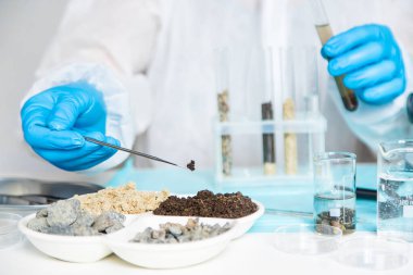 Laboratuvarda toprak testi. Seçici odaklanma. Doğa.