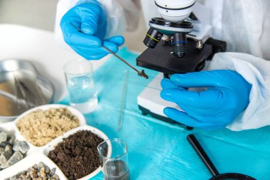 Laboratuvarda toprak testi. Seçici odaklanma. Doğa.