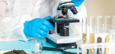 Laboratuvarda toprak testi. Seçici odaklanma. Doğa.