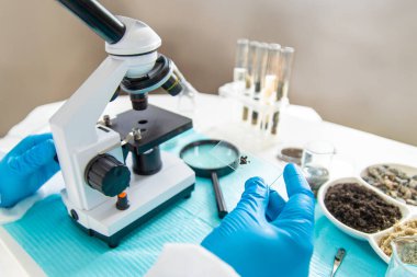 Laboratuvarda toprak testi. Seçici odaklanma. Doğa.