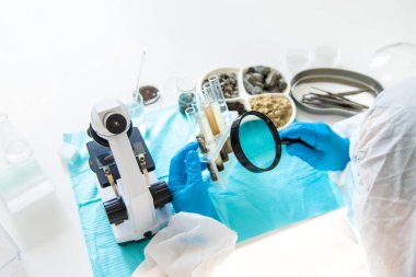 Laboratuvarda toprak testi. Seçici odaklanma. Doğa.