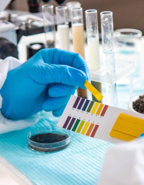 Laboratuvarda toprak testi. Seçici odaklanma. Doğa.