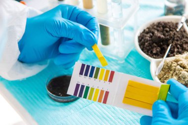 Laboratuvarda toprak testi. Seçici odaklanma. Doğa.