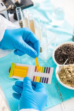 Laboratuvarda toprak testi. Seçici odaklanma. Doğa.