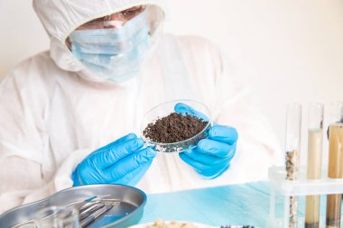 Laboratuvarda toprak testi. Seçici odaklanma. Doğa.