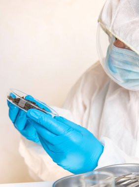 Laboratuvarda toprak testi. Seçici odaklanma. Doğa.