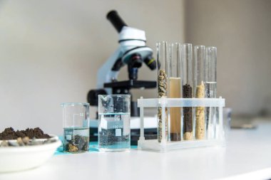 Laboratuvarda toprak testi. Seçici odaklanma. Doğa.