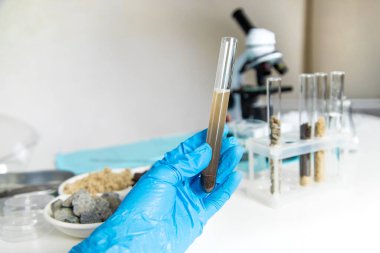 Laboratuvarda toprak testi. Seçici odaklanma. Doğa.