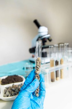 Laboratuvarda toprak testi. Seçici odaklanma. Doğa.