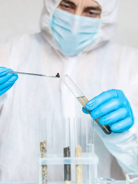 Laboratuvarda toprak testi. Seçici odaklanma. Doğa.