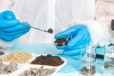 Laboratuvarda toprak testi. Seçici odaklanma. Doğa.