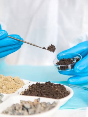 Laboratuvarda toprak testi. Seçici odaklanma. Doğa.