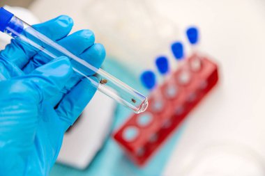 Laboratuvardaki test tüpüne tik tak. Seçici odaklanma. Doğa.