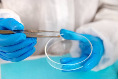 Laboratuvardaki test tüpüne tik tak. Seçici odaklanma. Doğa.