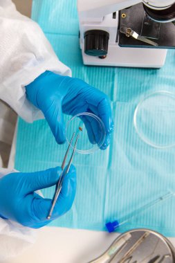 Laboratuvardaki test tüpüne tik tak. Seçici odaklanma. Doğa.