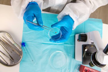 Laboratuvardaki test tüpüne tik tak. Seçici odaklanma. Doğa.