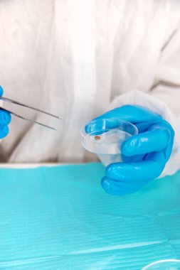 Laboratuvardaki test tüpüne tik tak. Seçici odaklanma. Doğa.