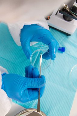 Laboratuvardaki test tüpüne tik tak. Seçici odaklanma. Doğa.