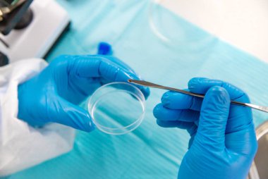 Laboratuvardaki test tüpüne tik tak. Seçici odaklanma. Doğa.