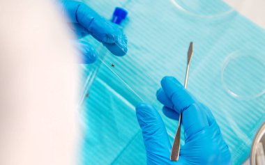 Laboratuvardaki test tüpüne tik tak. Seçici odaklanma. Doğa.