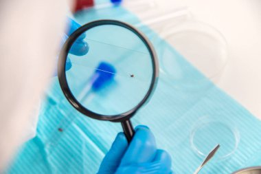 Laboratuvardaki test tüpüne tik tak. Seçici odaklanma. Doğa.