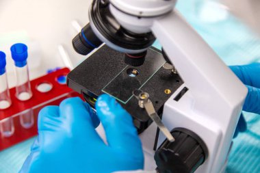 Laboratuvardaki test tüpüne tik tak. Seçici odaklanma. Doğa.