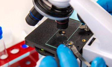 Laboratuvardaki test tüpüne tik tak. Seçici odaklanma. Doğa.