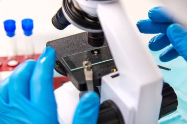 Laboratuvardaki test tüpüne tik tak. Seçici odaklanma. Doğa.