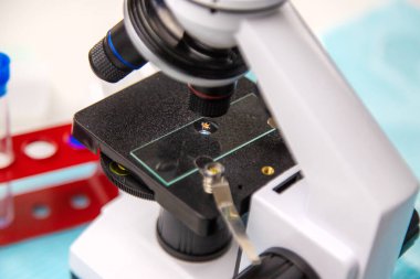 Laboratuvardaki test tüpüne tik tak. Seçici odaklanma. Doğa.