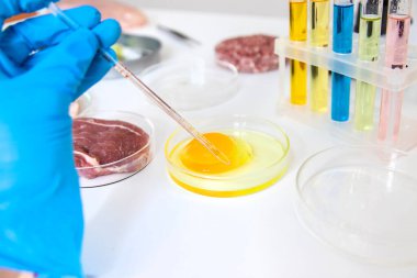 Laboratuvarda eti inceleyin. Seçici odaklanma. Yiyecek..