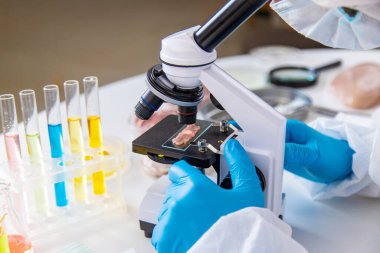 Laboratuvarda eti inceleyin. Seçici odaklanma. Yiyecek..