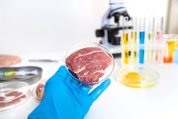 Examine meat in the laboratory. Selective focus. Food.