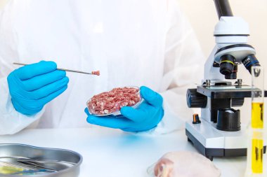 Laboratuvarda eti inceleyin. Seçici odaklanma. Yiyecek..
